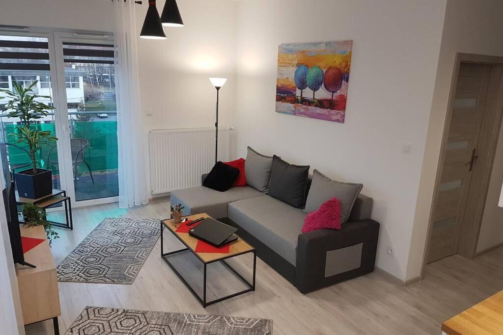 Komfortowy Nowoczesny Apartament Kustronia Z Garazem Balkonem Wanna Bielsko-Biala Exterior foto